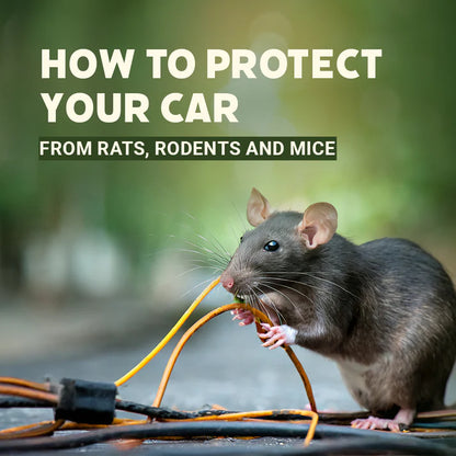 Rat, Lizard & Insect Repellent - Lasts for one year (Buy 1 Get 1 Free)